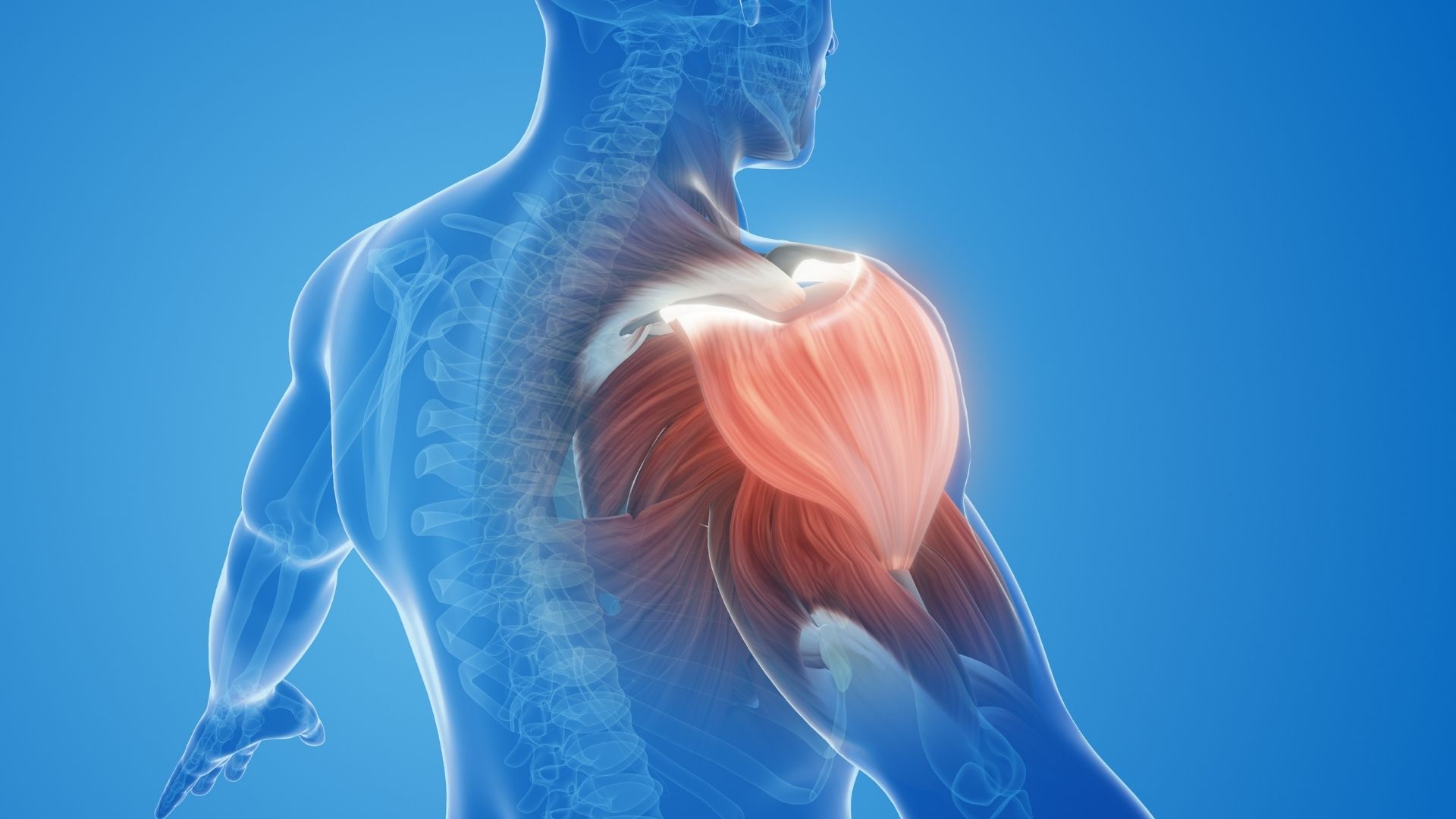 Aké benefity majú BCAA produkty a ako ich správne využiťa